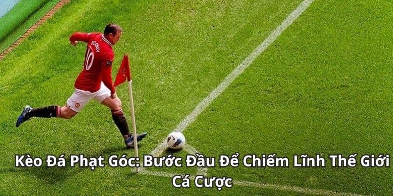 Hiểu rõ về kèo phạt góc trong cá cược bóng đá